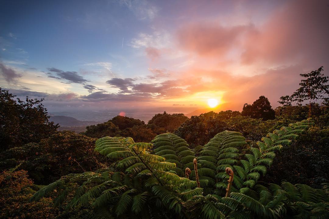 You are currently viewing Top One Day Hikes Around Taipei